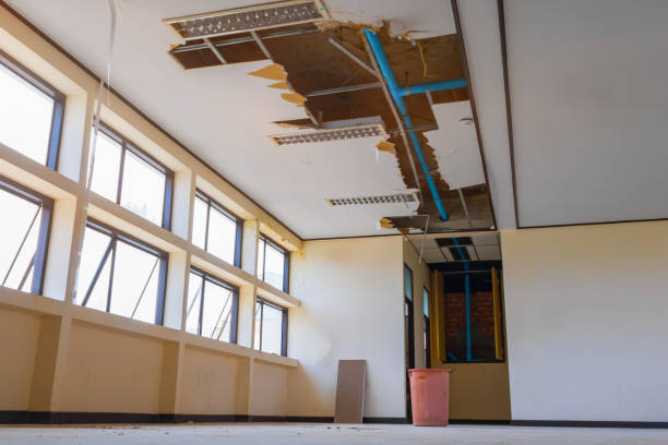 Best Flood restoration services  in Defuniak Springs, FL