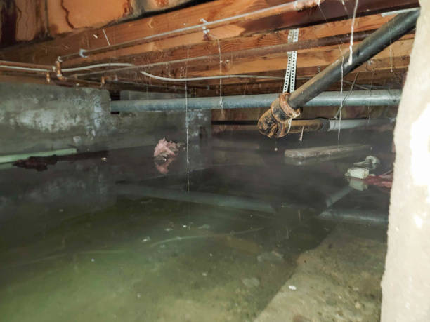 Best Water damage restoration near me  in Defuniak Springs, FL