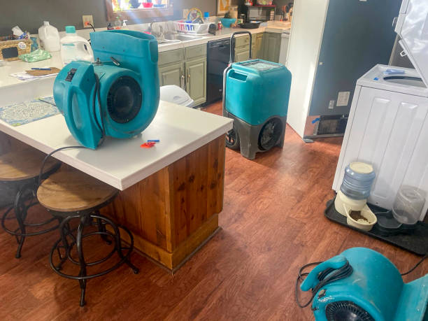 Best Water damage restoration near me  in Defuniak Springs, FL