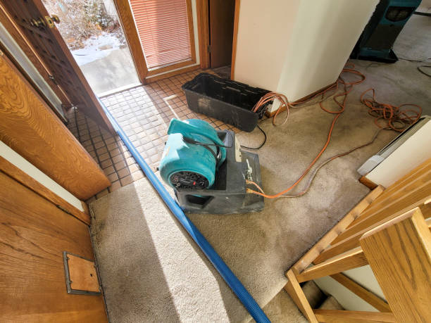 Water damage restoration insurance claims in Defuniak Springs, FL