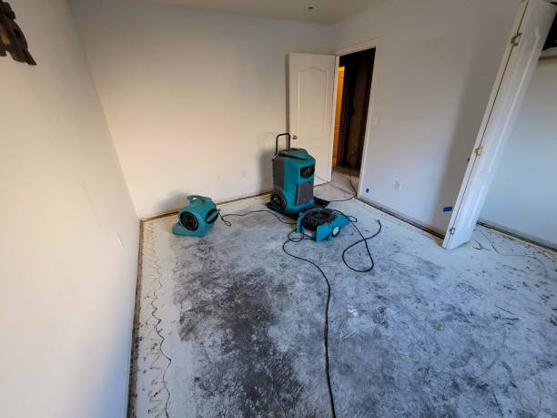 Best Fire Damage Restoration  in Defuniak Springs, FL
