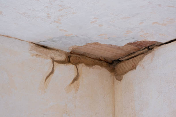 Best Ceiling water damage repair  in Defuniak Springs, FL