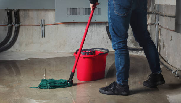 Best Water damage mitigation services  in Defuniak Springs, FL
