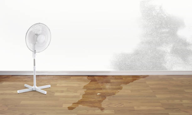  Defuniak Springs, FL Water damage restoration Pros