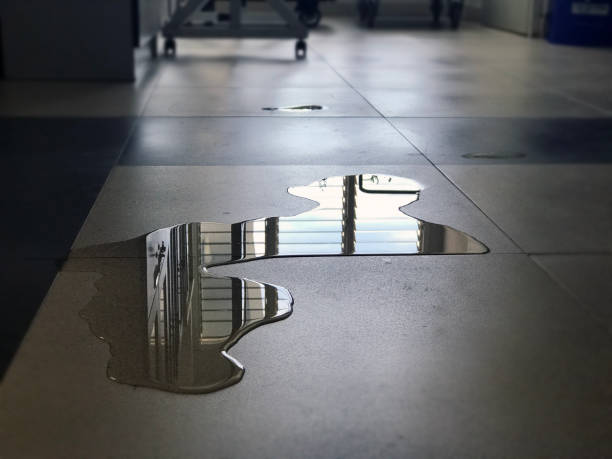 Best 24/7 water damage repair  in Defuniak Springs, FL
