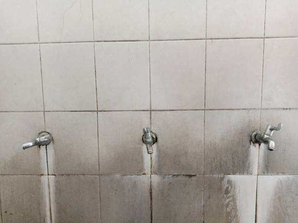 Best Water damage restoration mold remediation  in Defuniak Springs, FL