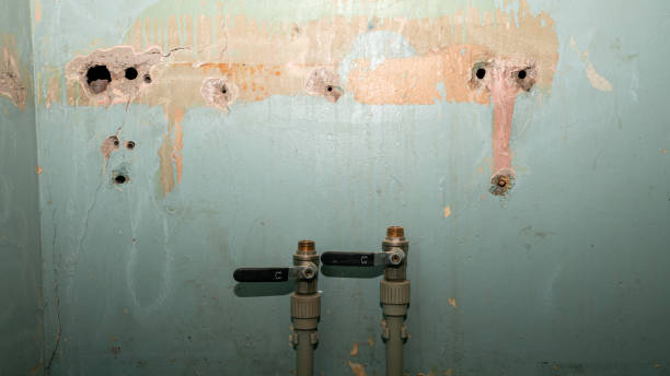 Best 24-hour water damage restoration  in Defuniak Springs, FL