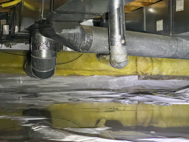 Best Ceiling water damage repair  in Defuniak Springs, FL