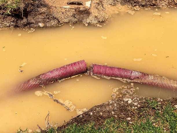 Best Carpet water damage restoration  in Defuniak Springs, FL