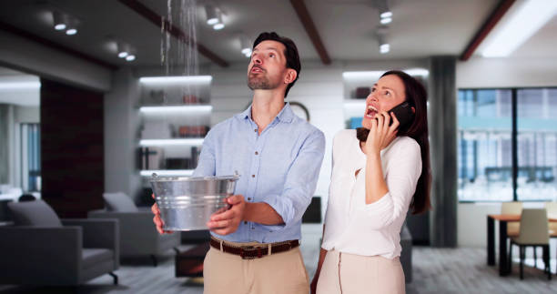 Best Water damage contractors near me  in Defuniak Springs, FL