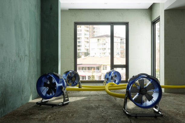 Best Sewage cleanup and water damage restoration  in Defuniak Springs, FL