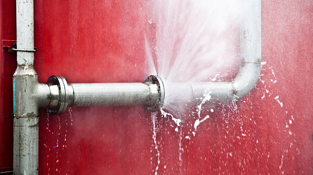 Best Flood restoration services  in Defuniak Springs, FL